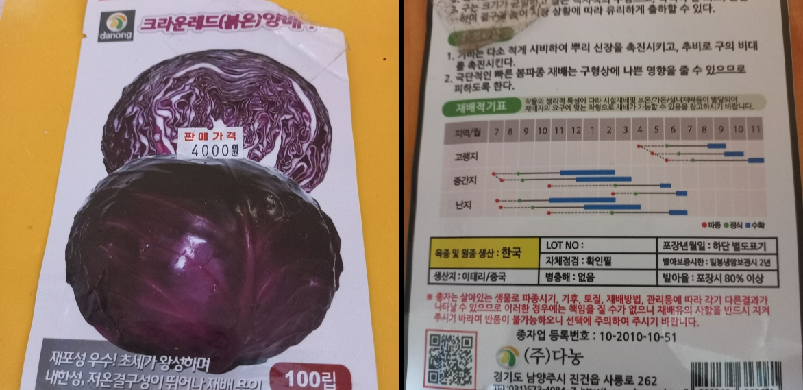 적양배추 씨앗 포장지 앞면 (좌)&#44; 뒷면 설명서(우) 사진