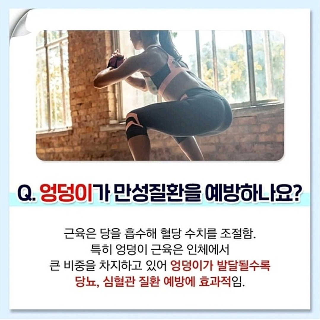  엉덩이 운동해야 하는 이유 /  스쿼트 / 런지 / 오래 사는 법