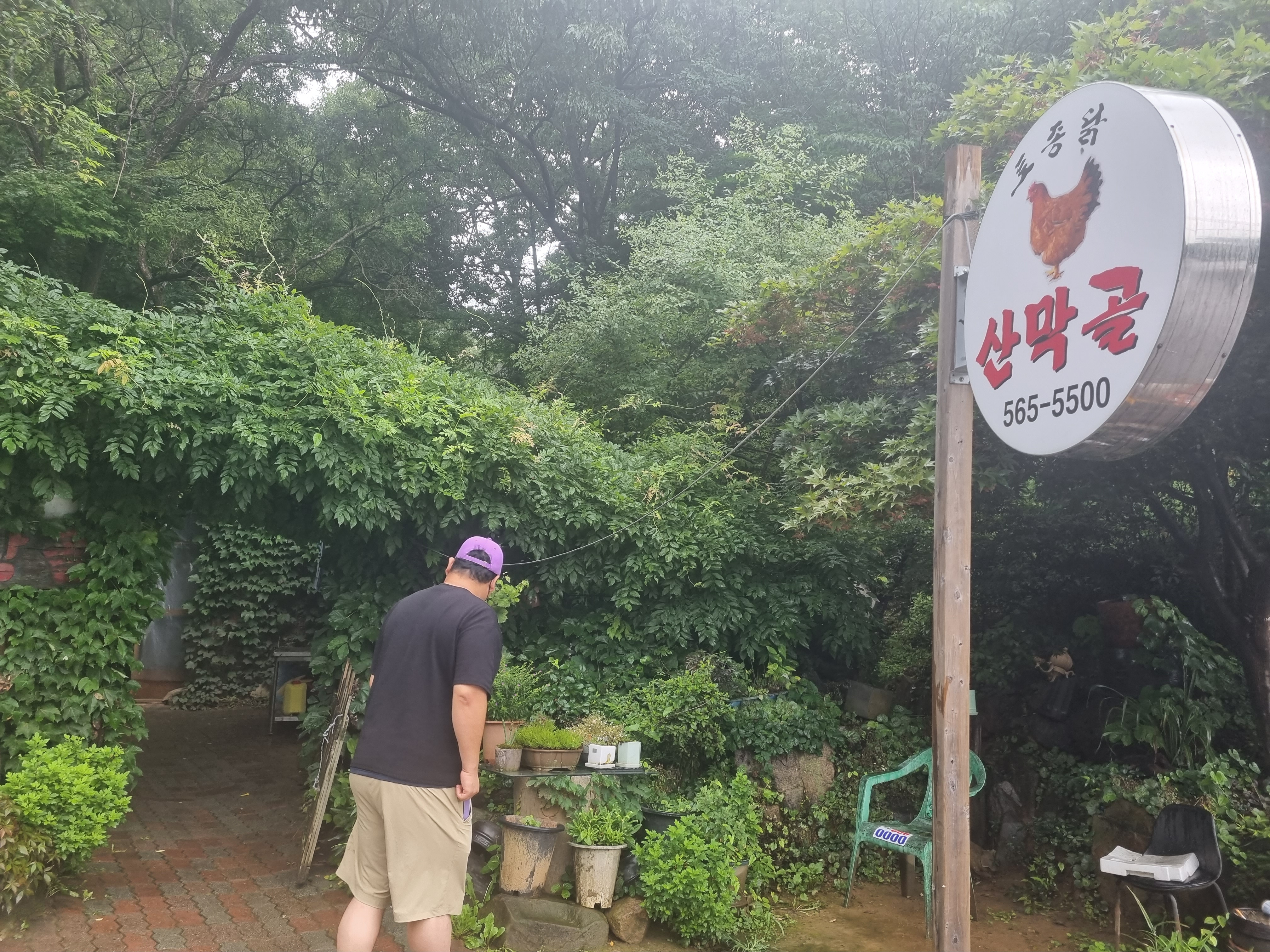  숲속에 숨어있는 백숙맛집 목천 산막골 내돈내산 후기