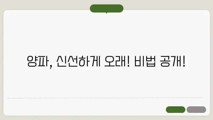양파 보관법 신선함을 오래 유지하는 올바범