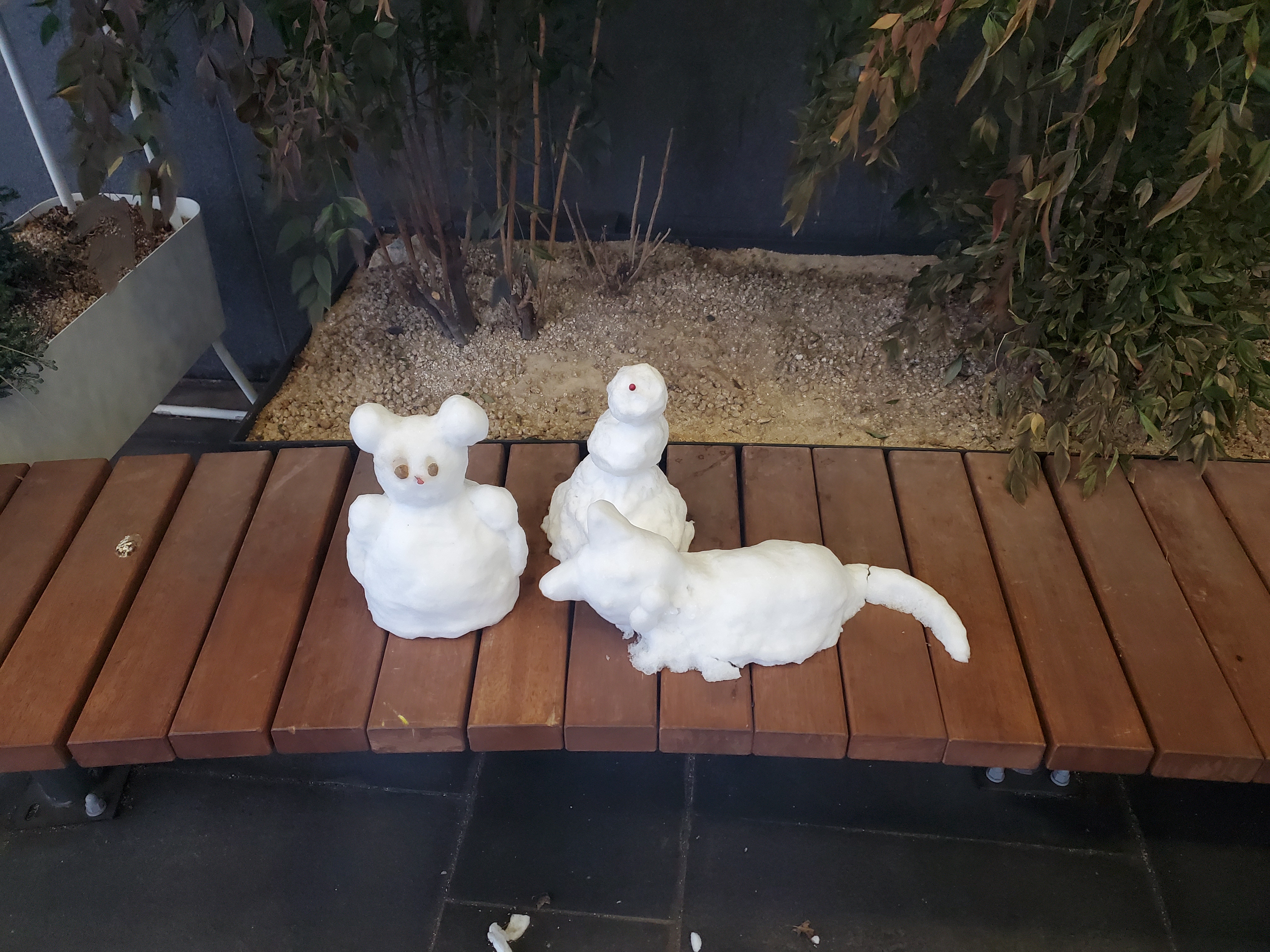  여의도 맛집 / 여의도 '세광양대창'에 다녀왔습니다. 우하하 파파레~^^ 꼭 가세요.