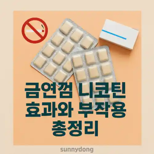 금연껌 니코틴 효과와 부작용 총정리 썸네일