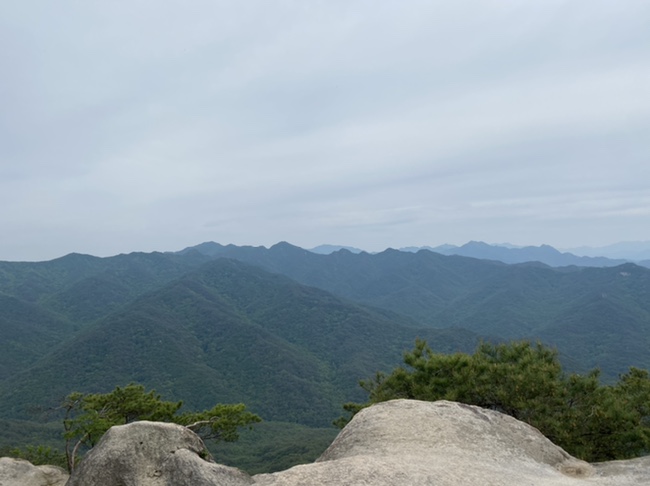 여름산으로 추천하는 괴산 칠보산(778m) 숲속을 거니는 듯 시원해 5