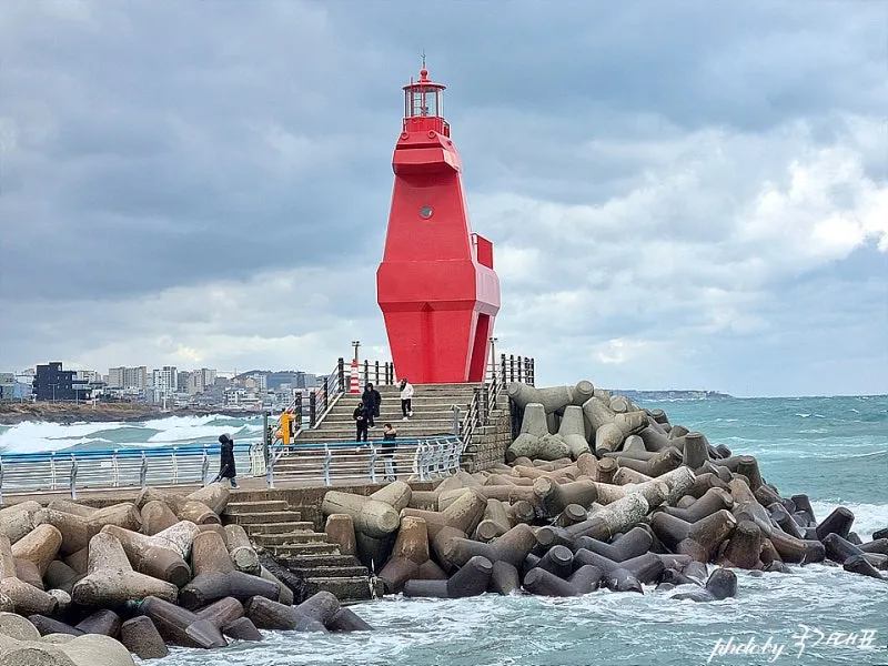 제주시볼거리 6월 제주도 여행 볼거리 제주시 볼거리 한라수목원 완벽 가이드_4