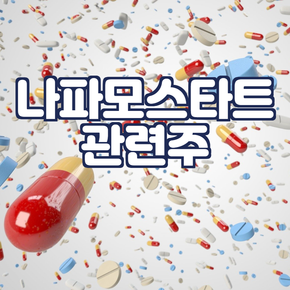  나파모스타트 관련주