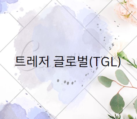  트레저 글로벌(TGL)_이커머스 기업