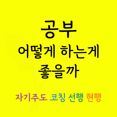  청호동 중등 국어과외 갈곶동 고등 과학과외 일대일 시험 성적향상 중위권 공부법 한국사 세계사 물리과외