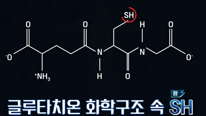 글루타치온 효능