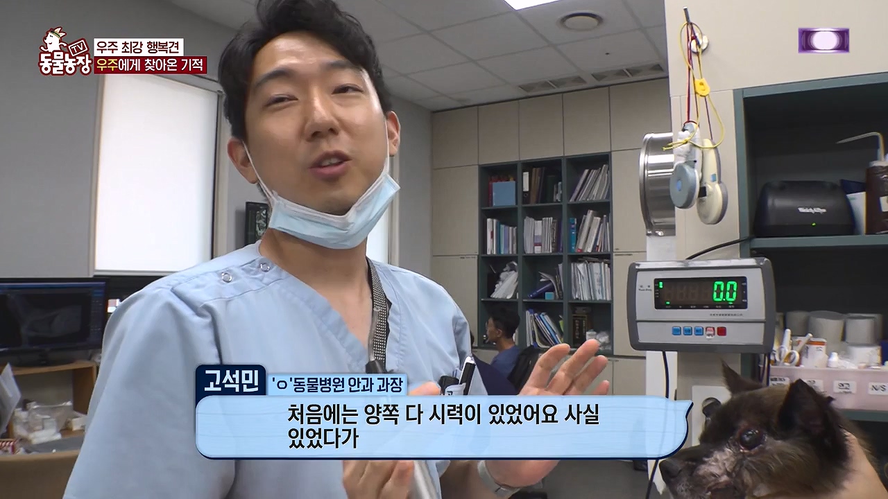 TV 동물농장.E1137.230911p-NEXT.mp4_20230910_183230.165.jpg