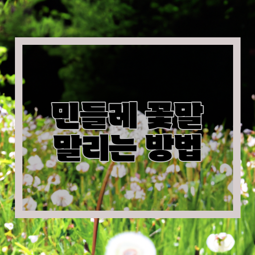  민들레도 지켜주는 마법, 꽃 한송이가 되는 방법