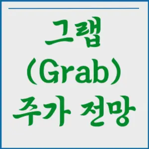 그랩 주가 전망&#44; 주식 그래프&#44; 목표 주가&#44; 사업 개요&#44; 재무 현황&#44; 하락 이유 알아보기