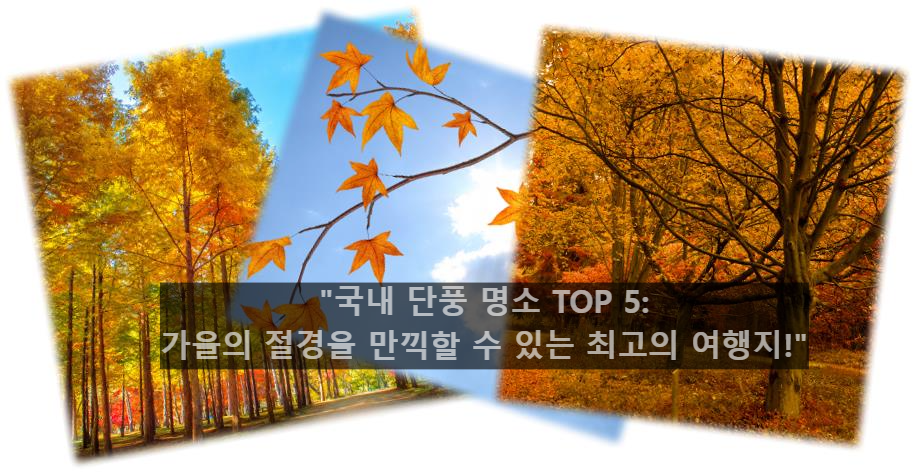국내 단풍 명소 TOP 5, 가을의 절경을 만끽할 수 있는 최고의 여행지!