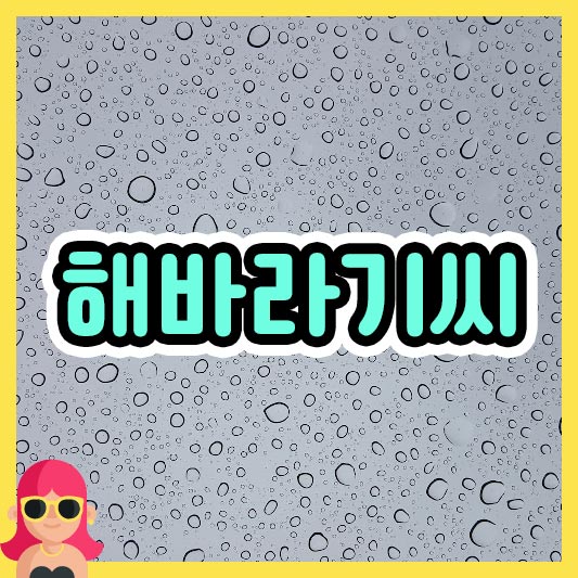 섬네일 해바라기씨