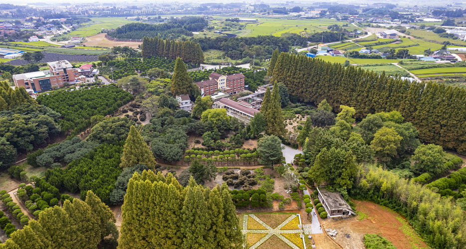 일회성 약속 추천 11