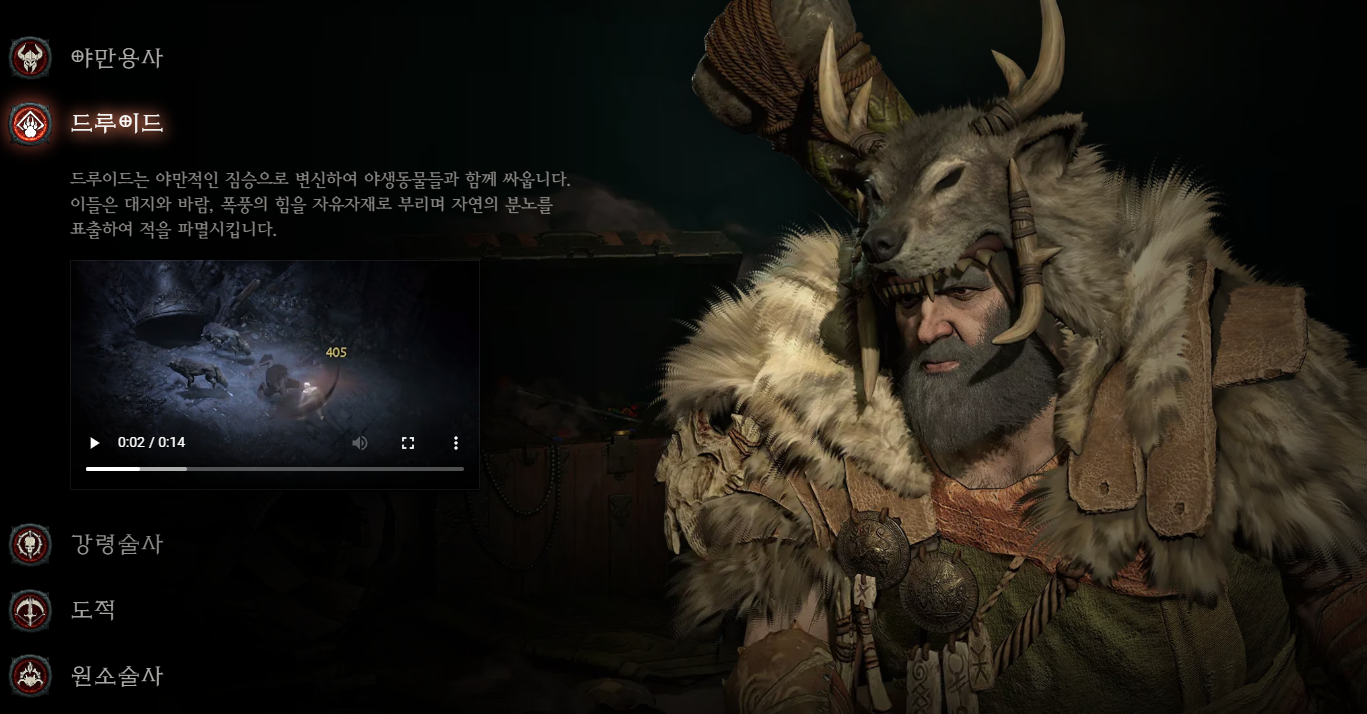 디아블로 4 드루이드