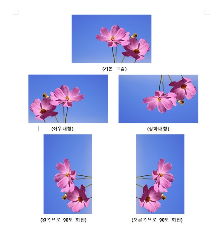 그림 회전 또는 대칭 적용