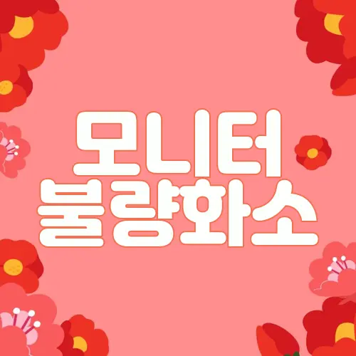 모니터 불량화소