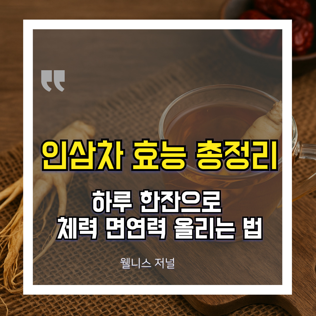 인삼차 효능