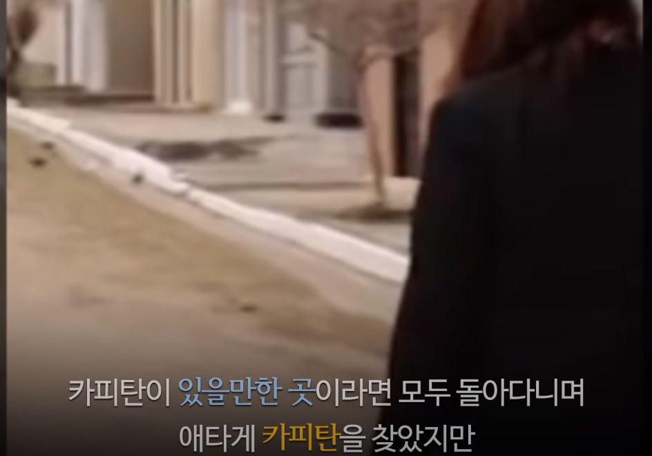 "죽을때까지 여기있을래..." 죽은 주인 곁을 떠나지 못해 무덤에서 오열하는 반려견