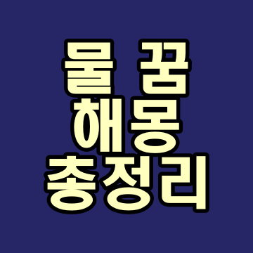  물 꿈해몽 총정리