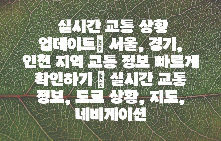 샘플 (43)