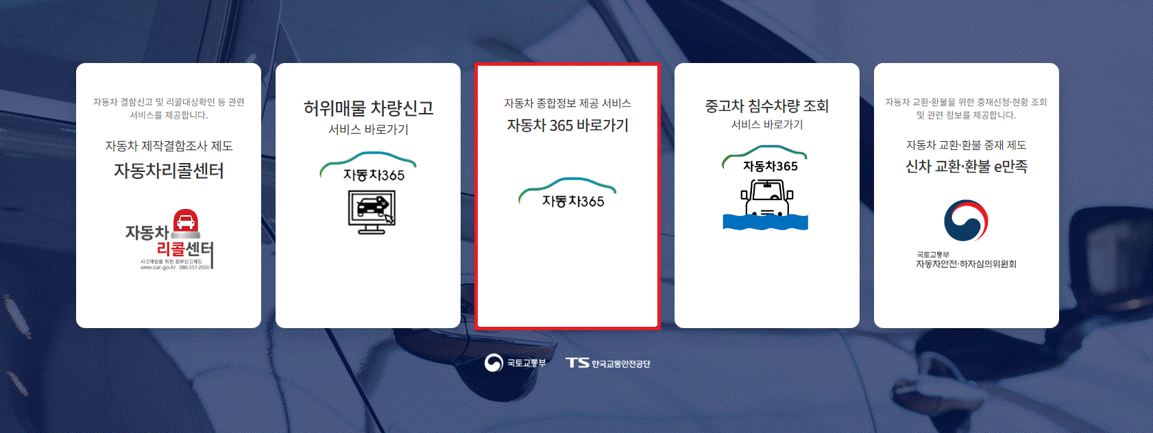 365차차차 이미지
