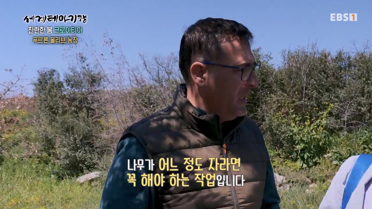 세상의모든기행찬란한 봄 크로아티아-골목골목 도시 산첵.mp4_20230523_205657.590.jpg