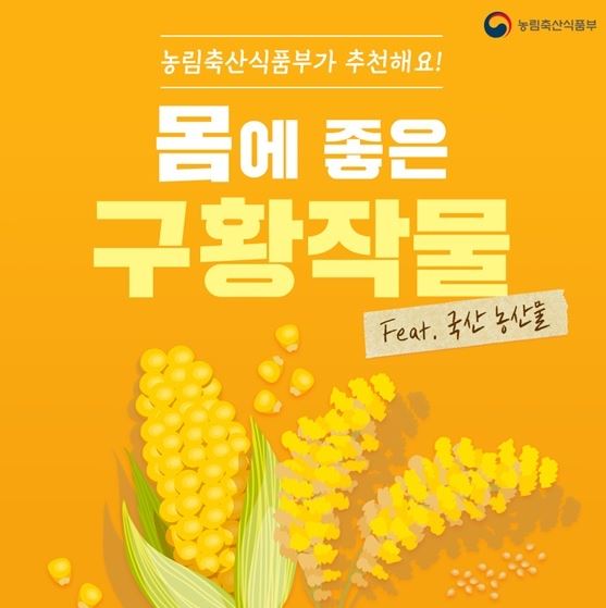 옥수수와 옥수수 가루 추억 // 손자에게 보내는 편지 (제375호) 6