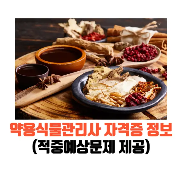 약용식물관리사-자격증-전망-취업-연봉-정보