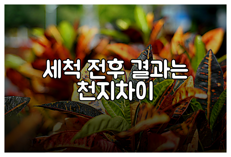 세척 전후 결과는 천지차이
