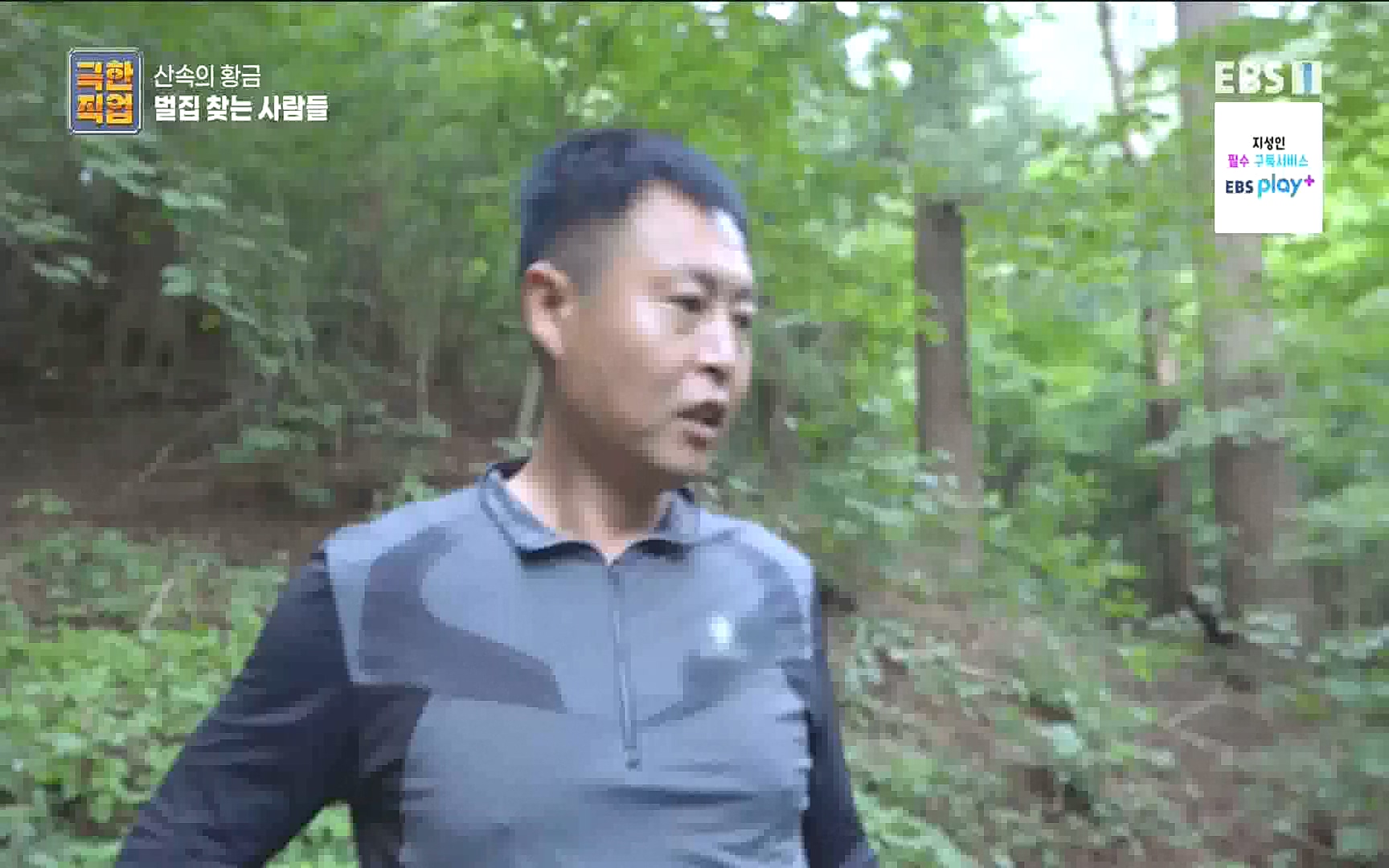 벌집 찾는 사람들.mp4_20221006_212356.536.jpg