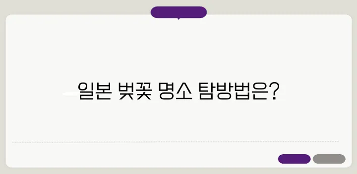 2025년 일본 벚꽃 여행을 위한 완벽한 일정 만들기, 이제 시작해보세요!