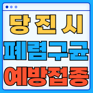 충청남도 당진시 폐렴구균 백신 무료 예방접종 비용지원 가격 신청방법 대상자 간격 13가 15가 20가 23가