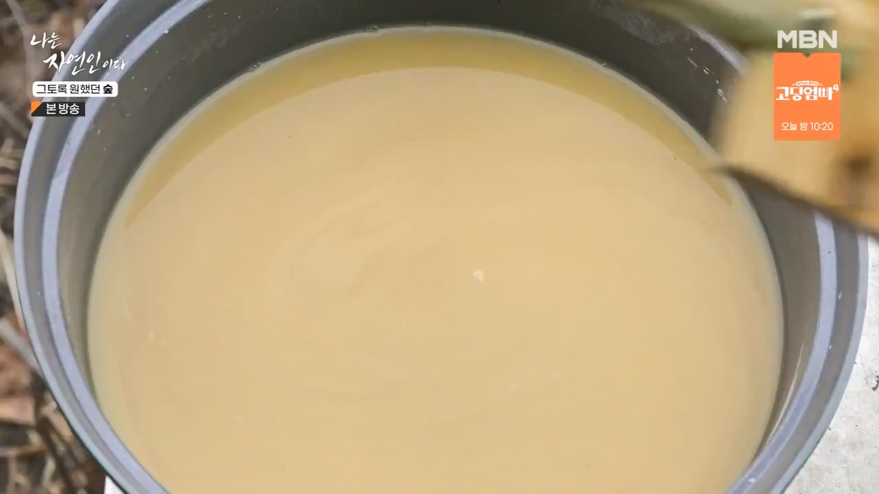 나는 자연인이다.E591.240132p-NEXT.mp4_20240201_195751.704.jpg