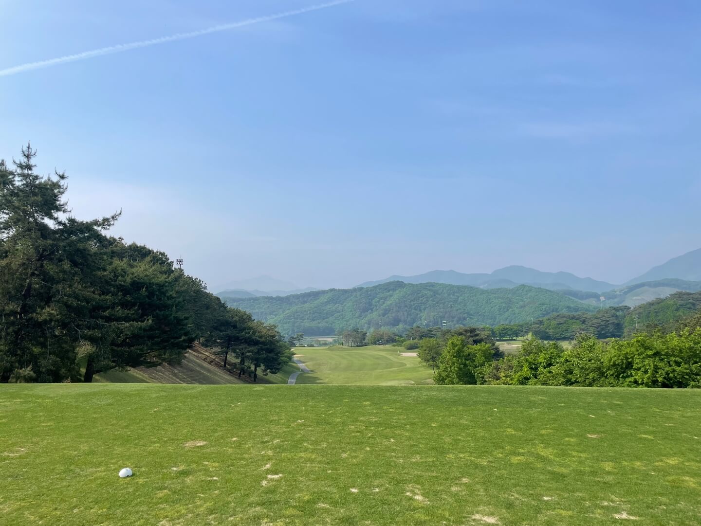 시그너스cc 후기