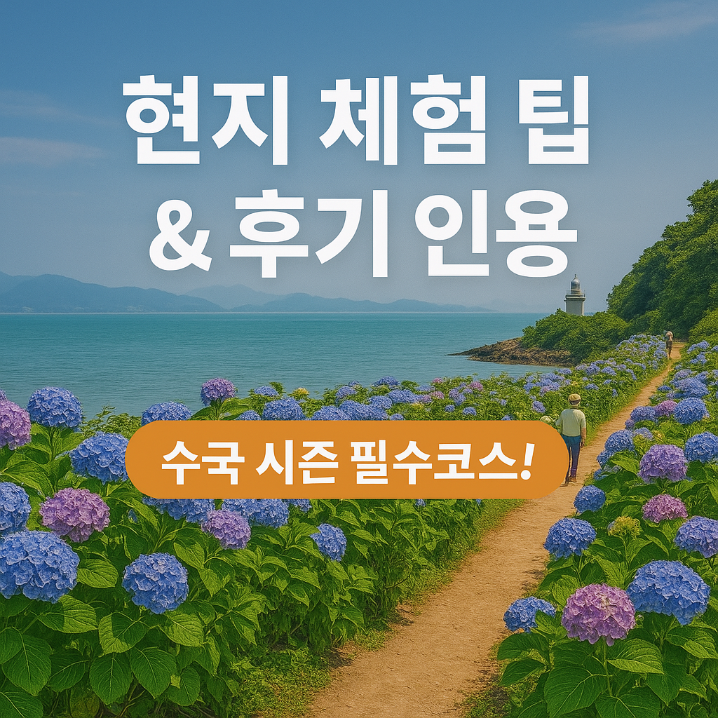 전남 고흥 쑥섬 가는 법부터 예약까지 완벽 정리 (수국 시즌 필수코스!)
