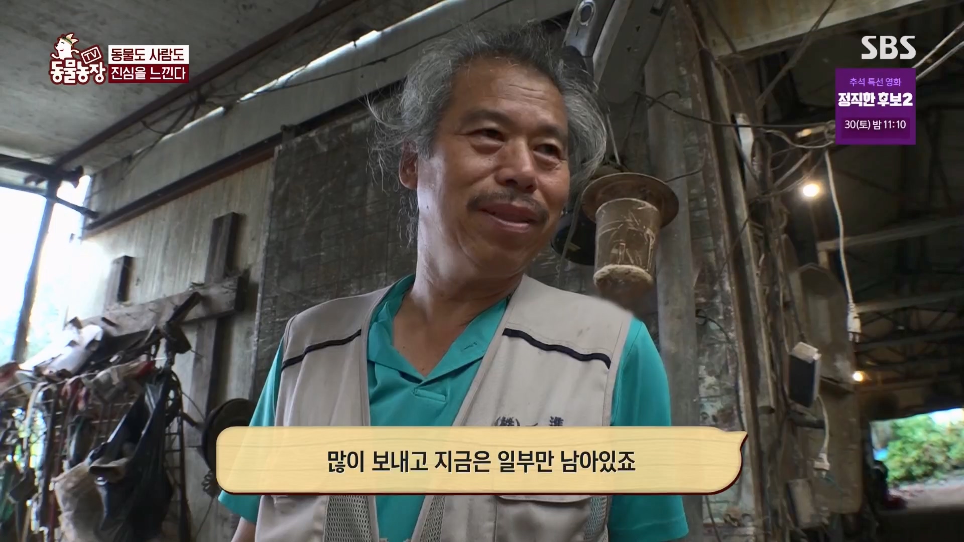 TV 동물농장.E1139.230924p.H264-F1RST.mp4_20230924_172347.725.jpg