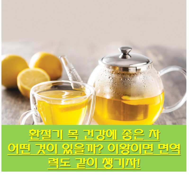  환절기 목 건강에 좋은 차 어떤 것이 있을까? 이왕이면 면역력도 같이 챙기자!