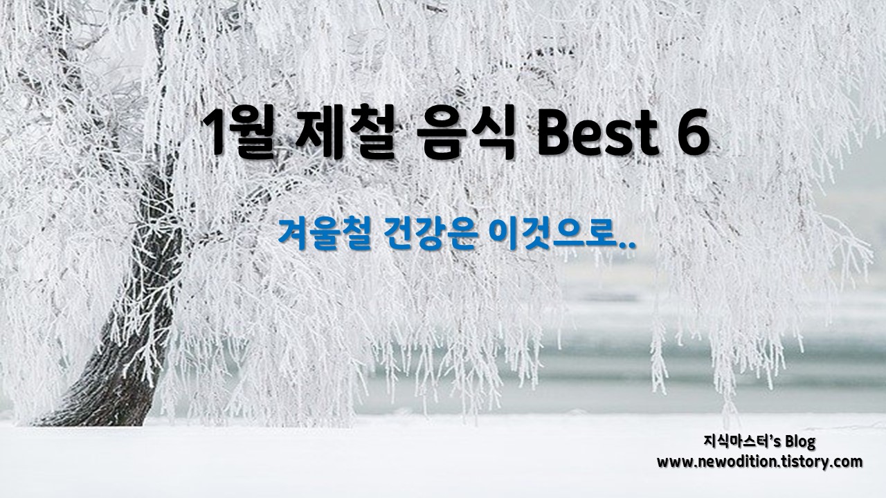  1월 제철 음식 Best 6 - 다이어트에도 걱정없는..