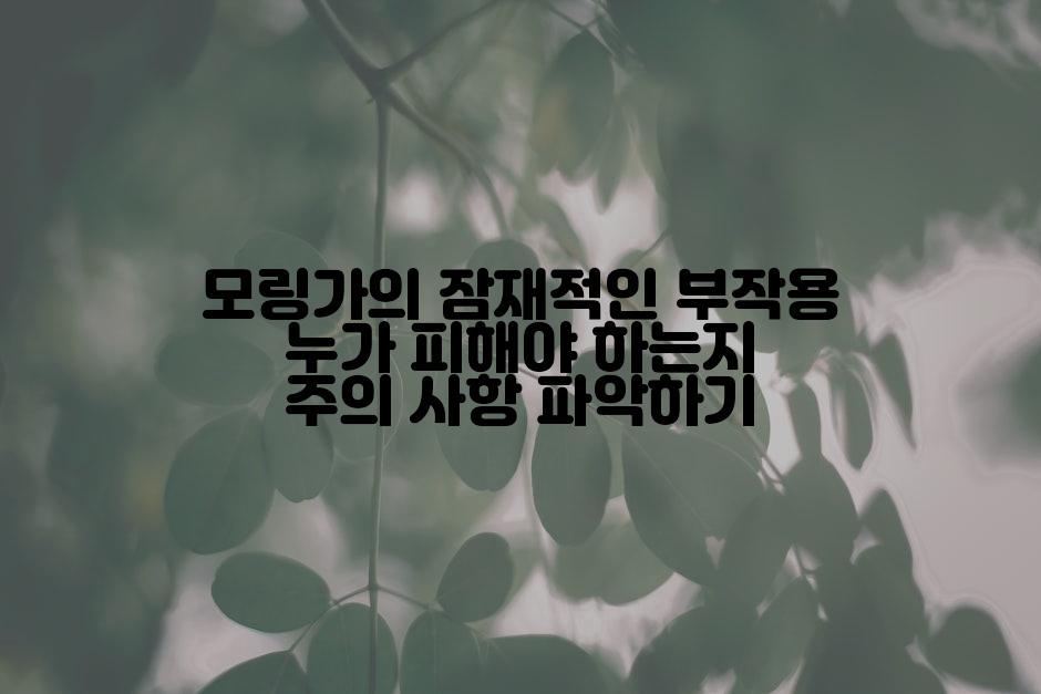 모링가의 잠재적인 부작용 누가 피해야 하는지 주의 사항 파악하기