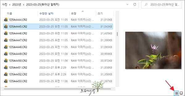 Windows 탐색기에서 RAW 파일 미리 보기 1