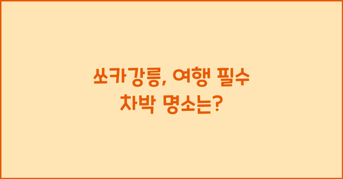 쏘카강릉