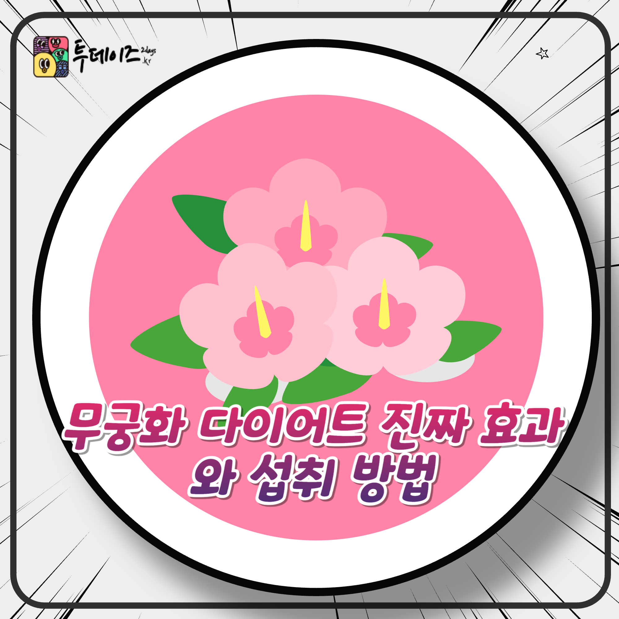 무궁화 다이어트 진짜 효과와 섭취 방법, 부작용까지 총정리