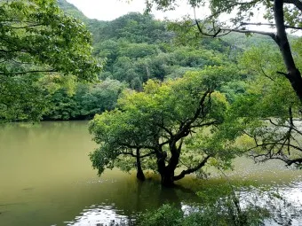 청송 가볼만한곳 베스트10 현지인 추천 필수코스_7