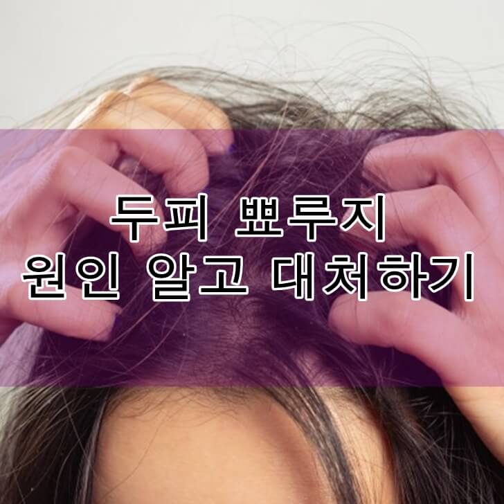 두피뾰루지