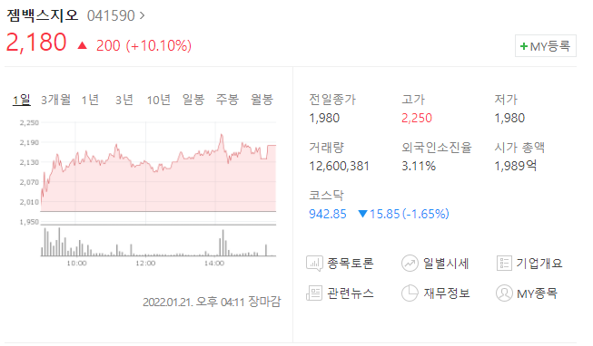  (041590)젬백스지오 주가전망 젬백스지오 상승 젬백스지오 전환사채 발행