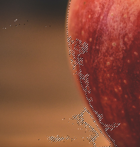 지저분하게 선택된 영역