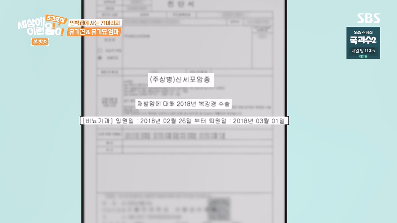 순간포착 세상에 이런일이.E1244.230903p-NEXT.mp4_20230903_173254.333.jpg