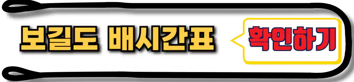 보길도 배시간표