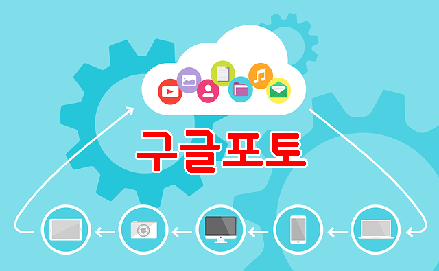  구글포토 무료사진 용량 유료 정책 변경사항- 백업, 사진다운로드